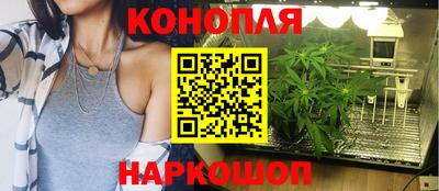 шишки Усть-Джегута