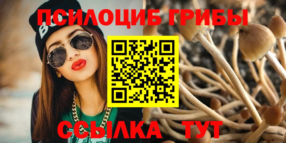 Псилоцибиновые грибы Magic Shrooms  Галлюциногенные грибы Psilocybe  Вход с VPN  Лобня 
