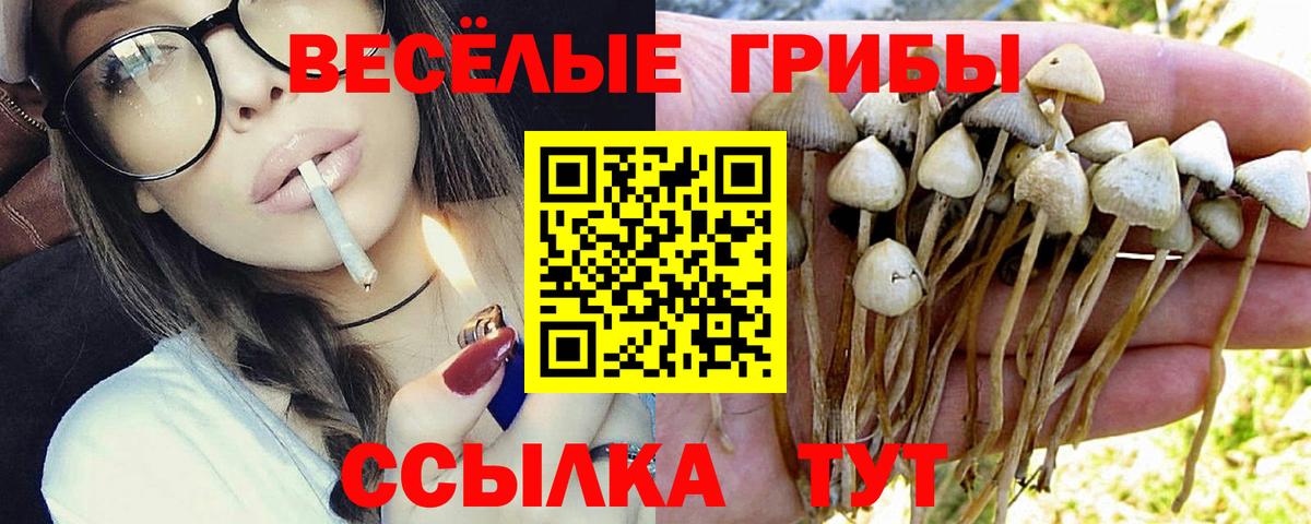 Галлюциногенные грибы прущие грибы Лобня